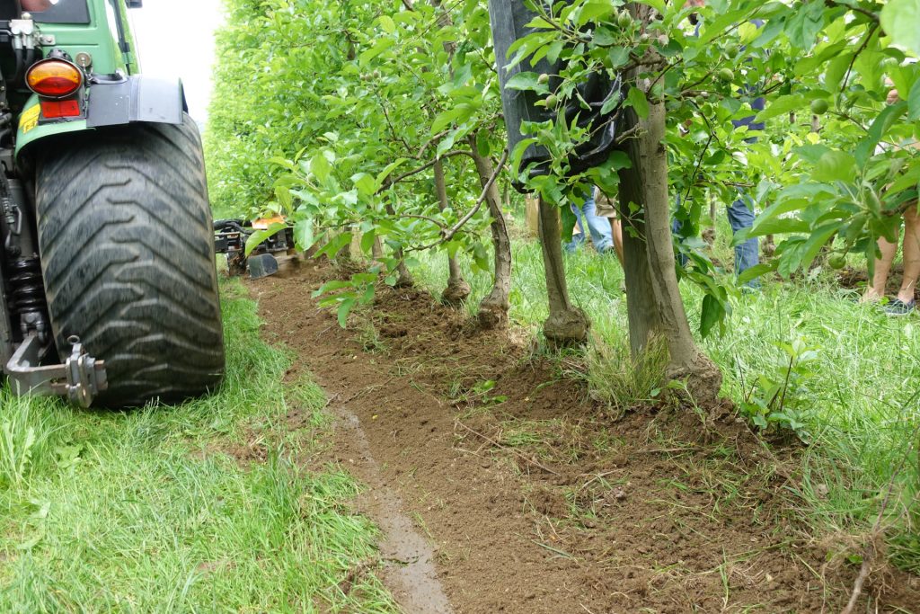 Regulierung des Beikrauts ohne Herbizide im Obstbau