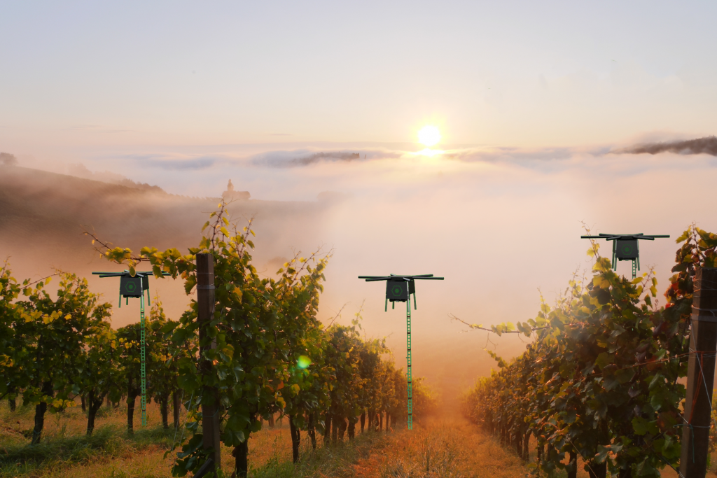 Sprühdrohnen im Weinbau könnten bald zum Standard werden