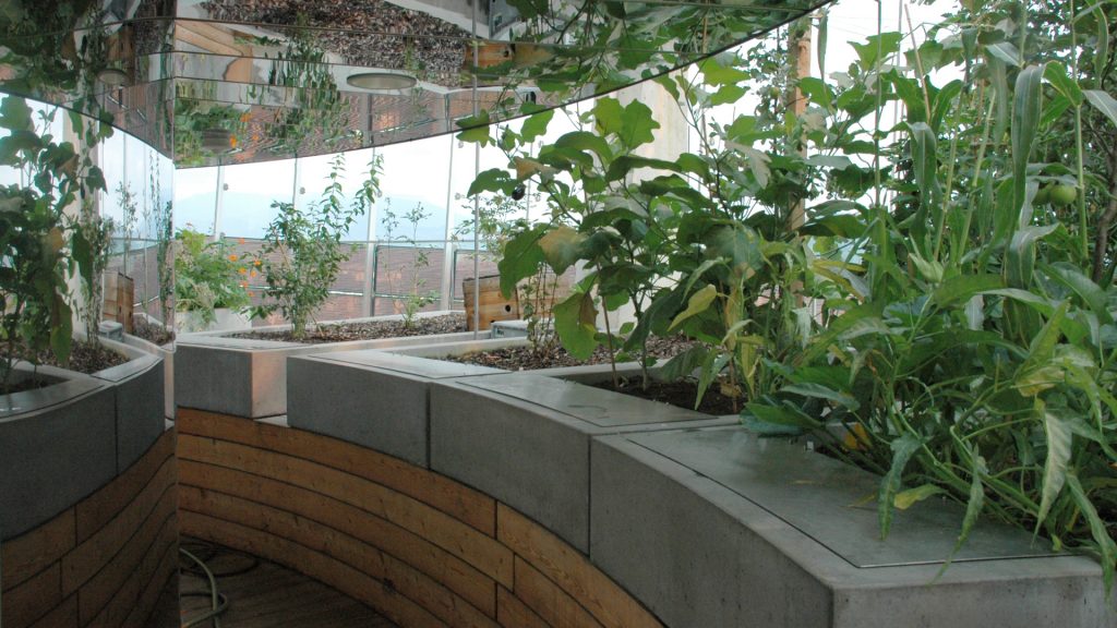 Betonbeete mit Pflanzen am Science Tower