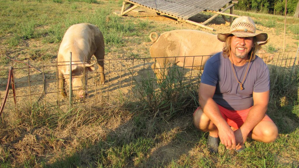 Günther Aust im Sommer bei der Feldarbeit vor einem Schweinegehege