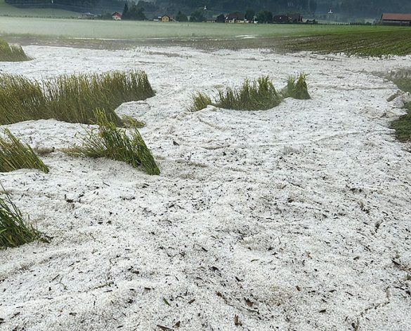 So schaute es nach dem Hagelunwetter rund um Weißkirchen im Bezirk Murtal aus. [© ÖHV]